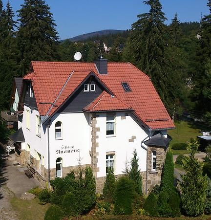 Heine Apartment-Friedegerns Fewo Schierke Exterior photo