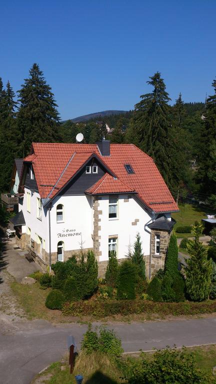 Heine Apartment-Friedegerns Fewo Schierke Exterior photo